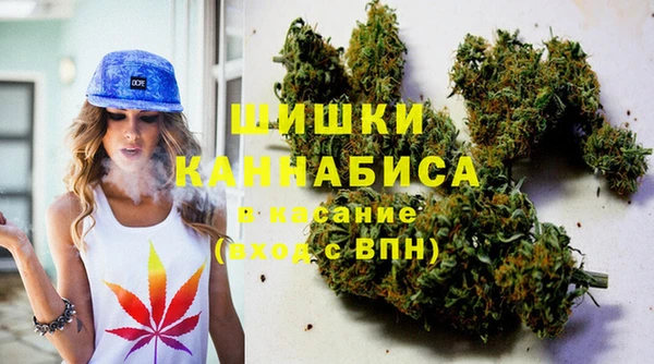 гидра Мегион