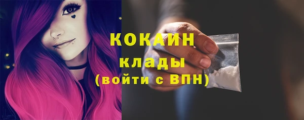 гидра Мегион