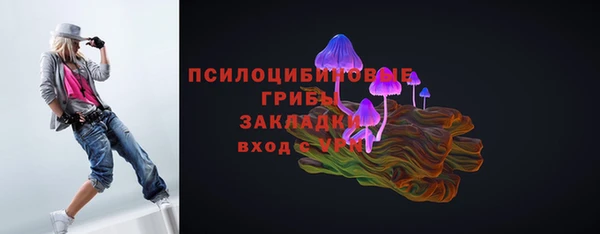 стаф Медвежьегорск