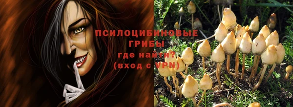 стаф Медвежьегорск