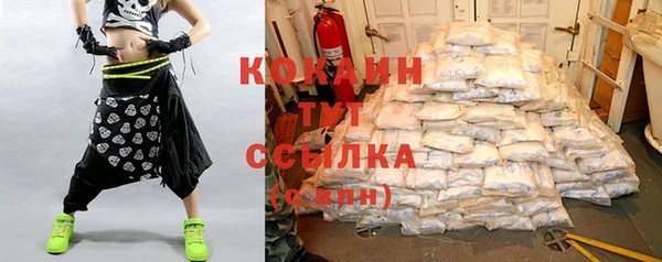 гидра Мегион