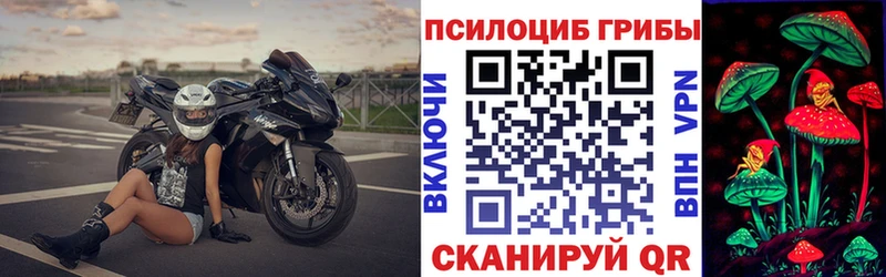 Псилоцибиновые грибы Cubensis  Купить где  Новоржев 
